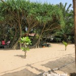 Awanhala Beach Bestaurant Bentota