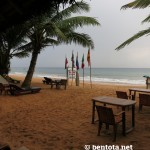 Janu's Paradise Strand Induruwa