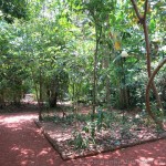 Herbal Garden von Bentota
