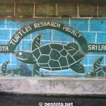 Sea Turtle Farm Bentota