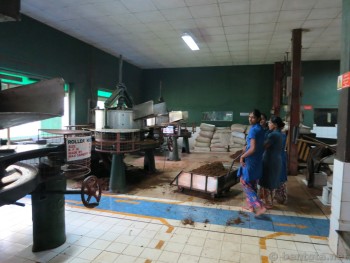 Teefabrik-SriLanka13
